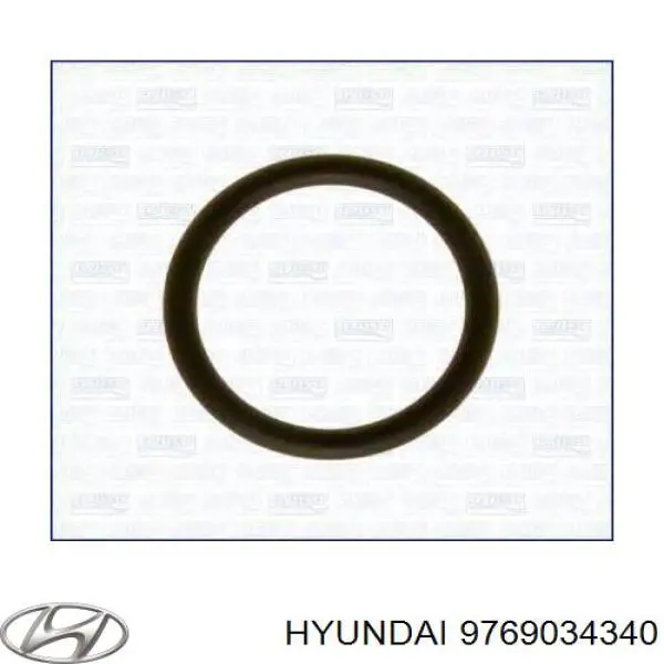 9769034340 Hyundai/Kia Vedante anular de mangueira do compressor de retorno