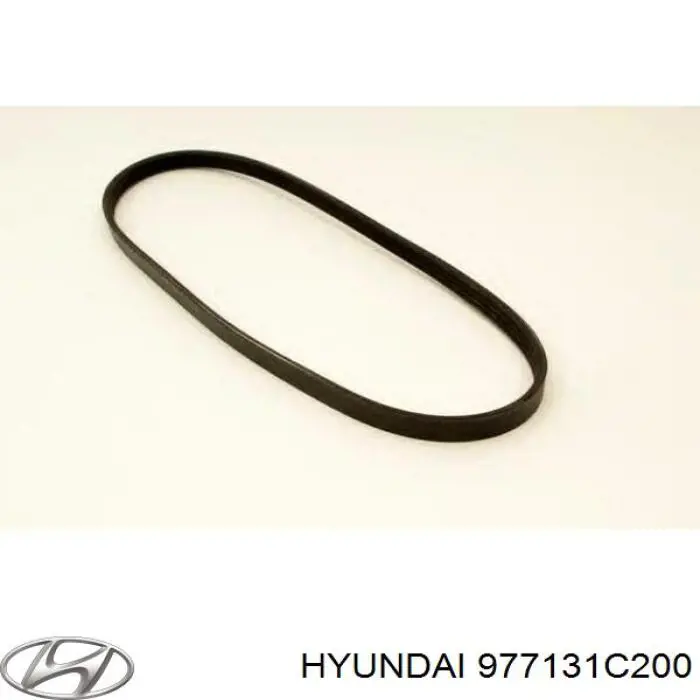Compre 977131C200 Hyundai/Kia Correia dos conjuntos de transmissão