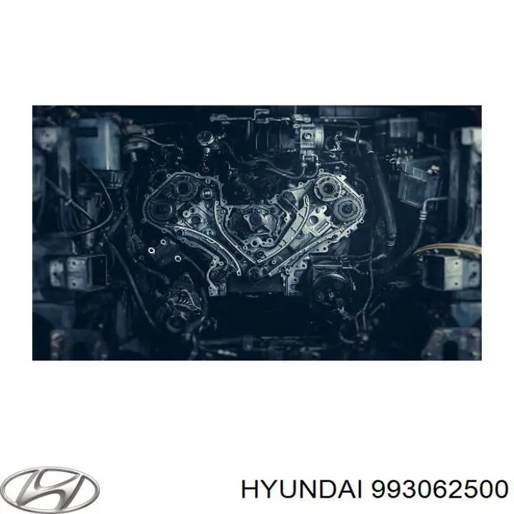 Tampão CBC/do bloco de cilindros Hyundai/Kia 993062500 preço, a partir de 2,47 USD