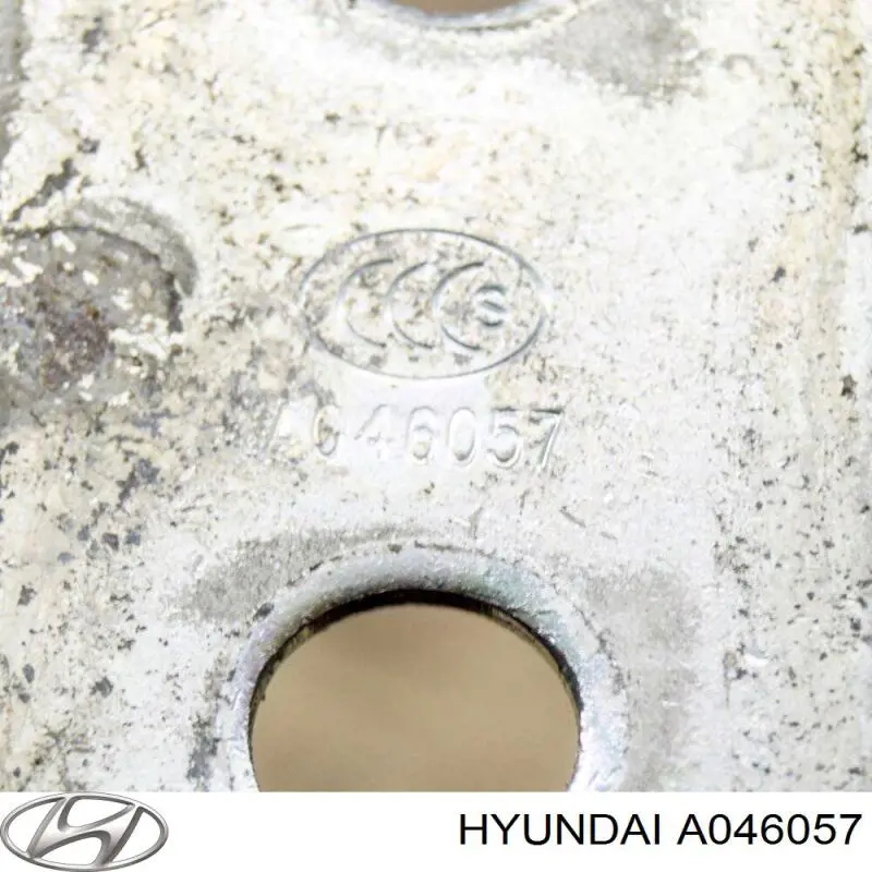 A046057 Hyundai/Kia Gozno da porta dianteira esquerda