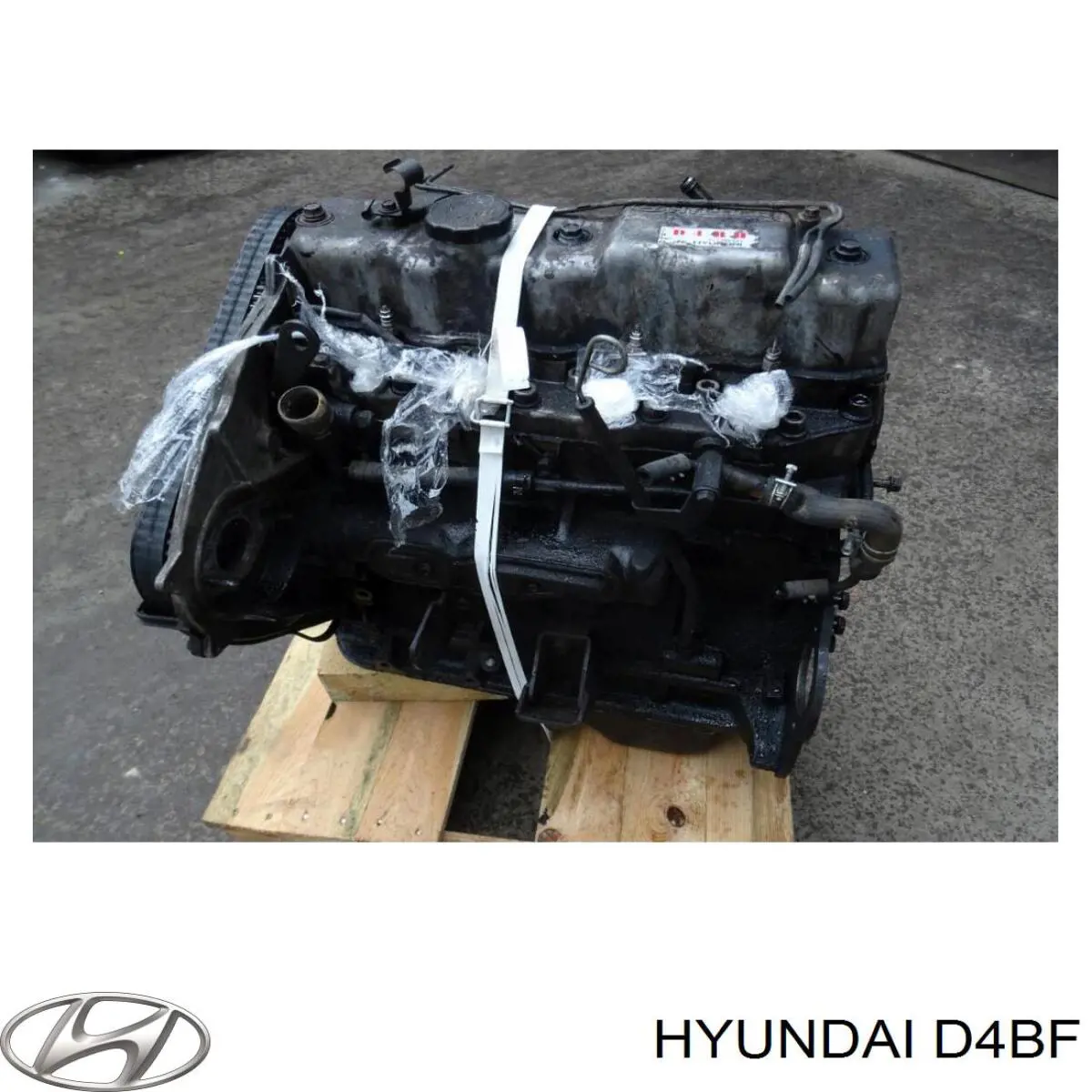 D4BF Hyundai/Kia Motor montado