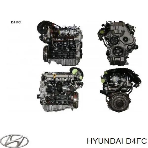 Compre D4FC Hyundai/Kia Motor montado