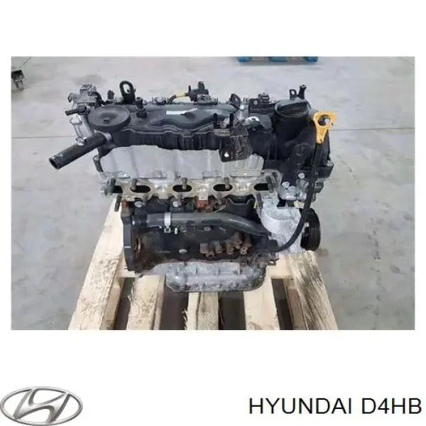 D4HB Hyundai/Kia Motor montado