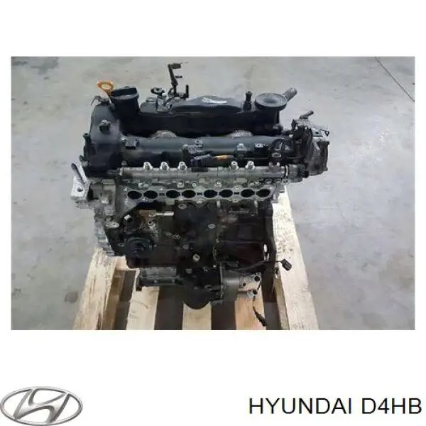 Compre D4HB Hyundai/Kia Motor montado