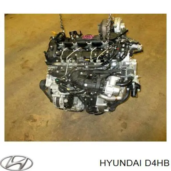 Motor montado Hyundai/Kia D4HB preço, a partir de 5647,41 USD