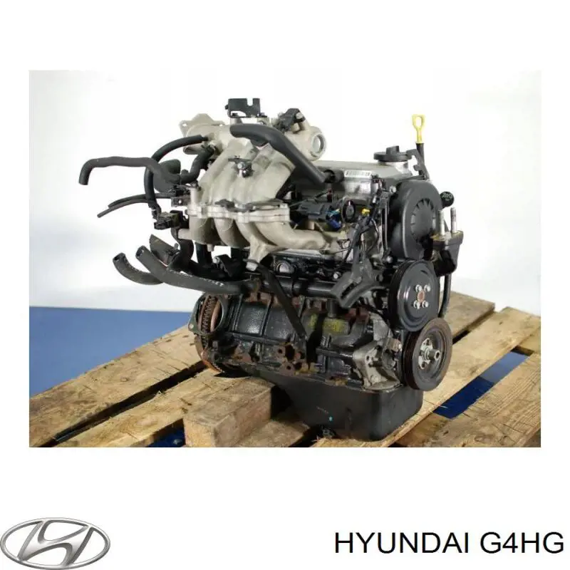 G4HG Hyundai/Kia Motor montado
