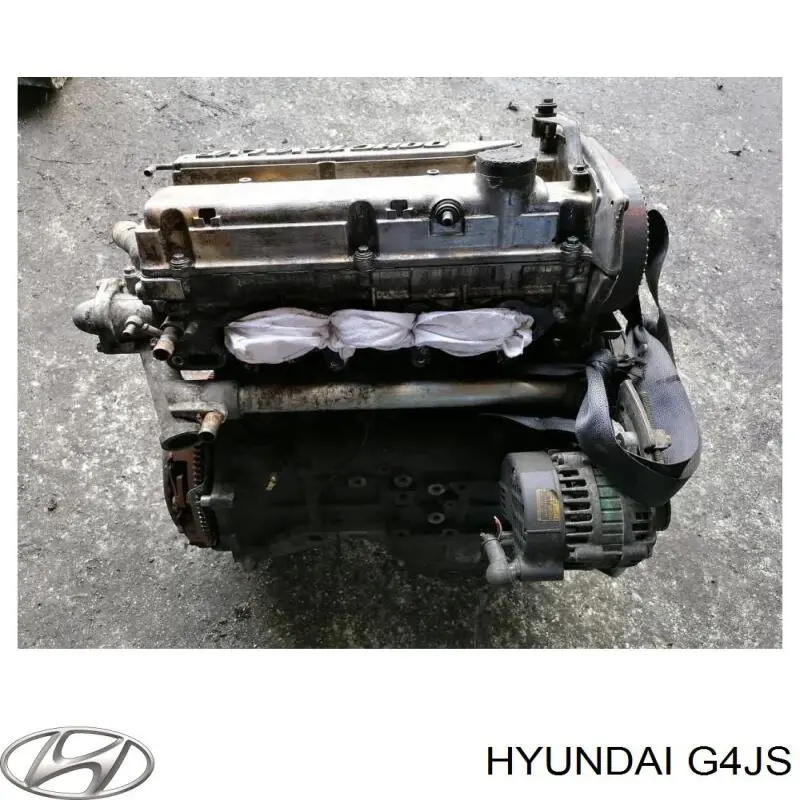 G4JS Hyundai/Kia Motor montado