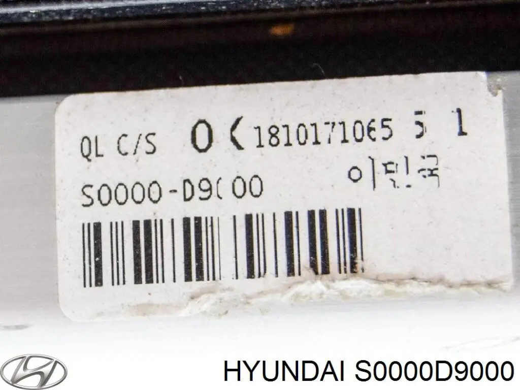 Estore da seção de bagagem S0000D9000 Hyundai/Kia