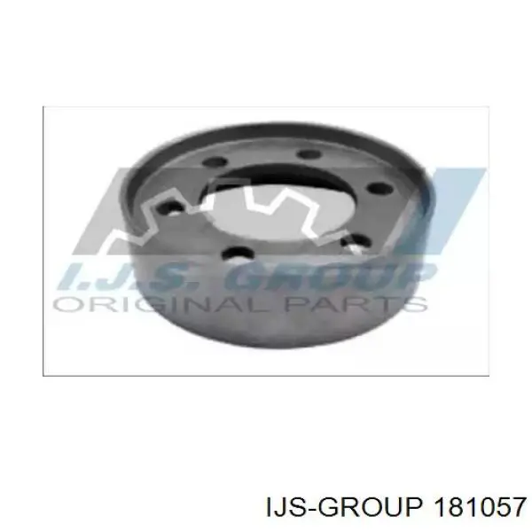 181057 IJS Group Polia da bomba de água