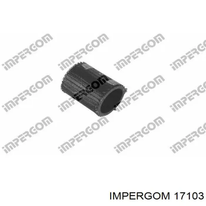 Cano derivado de ar, entrada na turbina (supercompressão) Impergom 17103 preço, a partir de 29,24 USD