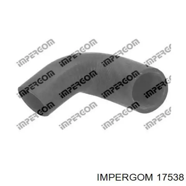 Compre 17538 Impergom Mangueira (cano derivado) de intercooler