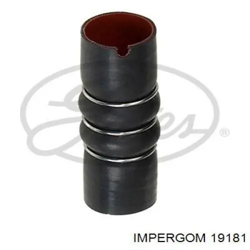 Compre 19181 Impergom Mangueira (cano derivado) de intercooler