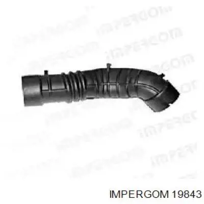 19843 Impergom 