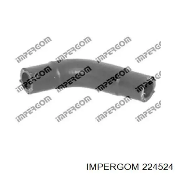 Compre 1519200Q1A Renault (RVI) Tubo (mangueira) de fornecimento de óleo de turbina