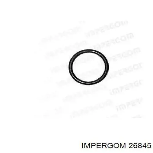 60811094 Fiat/Alfa/Lancia Vedação da haste de mudança da caixa de mudança