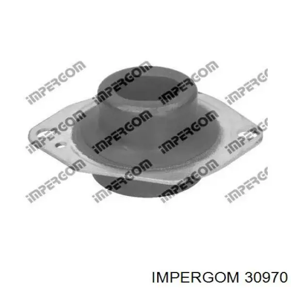 Coxim (suporte) dianteiro de motor AWSHO1131 Tenacity