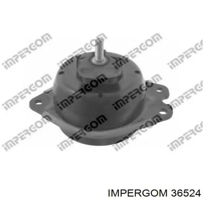 Compre 36524 Impergom Coxim (suporte) inferior de motor