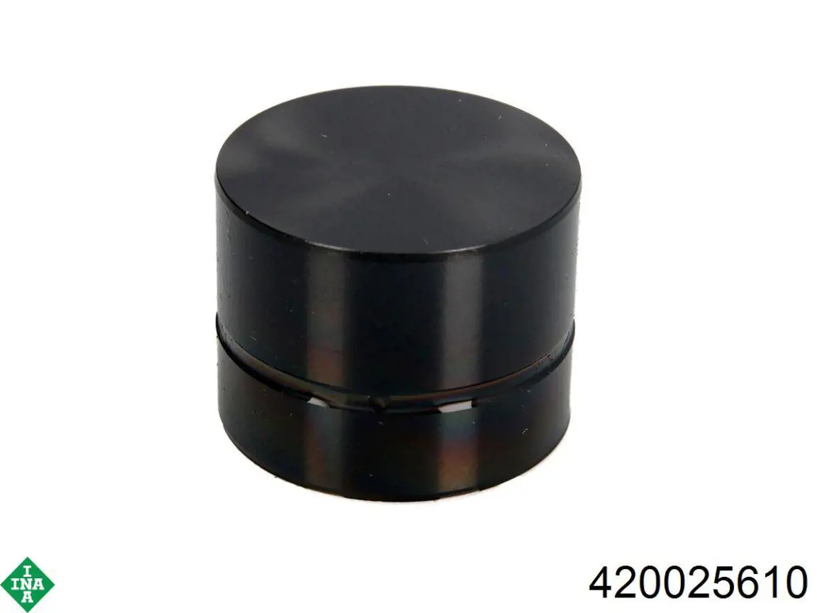 420025610 INA Compensador hidrâulico (empurrador hidrâulico), empurrador de válvulas