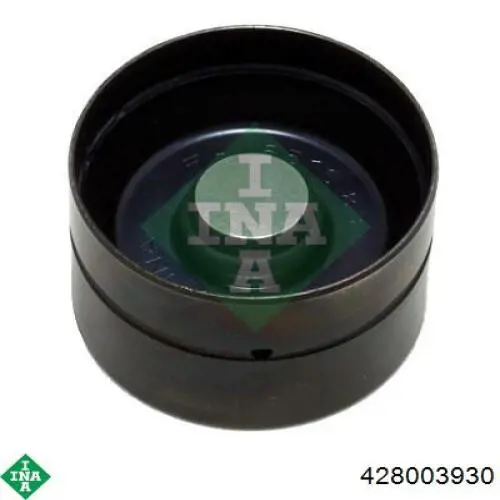 428003930 INA Árvore distribuidora de motor, kit