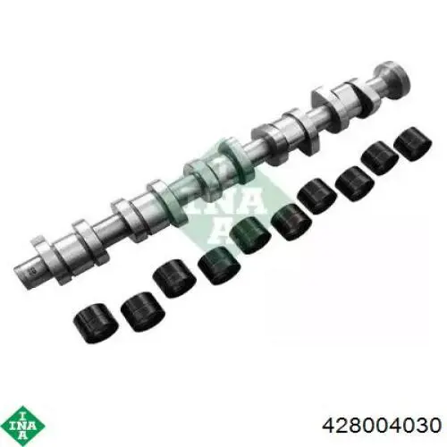 428004030 INA Árvore distribuidora de motor, kit