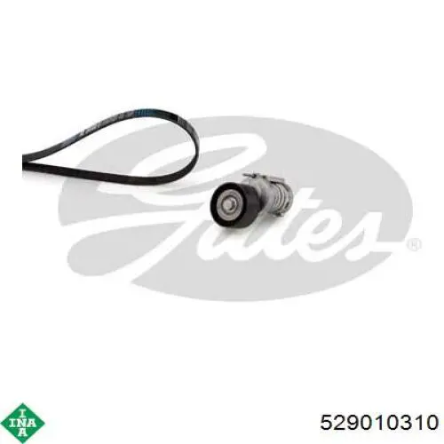 Correia dos conjuntos de transmissão, kit INA 529010310 preço, a partir de 66,78 USD