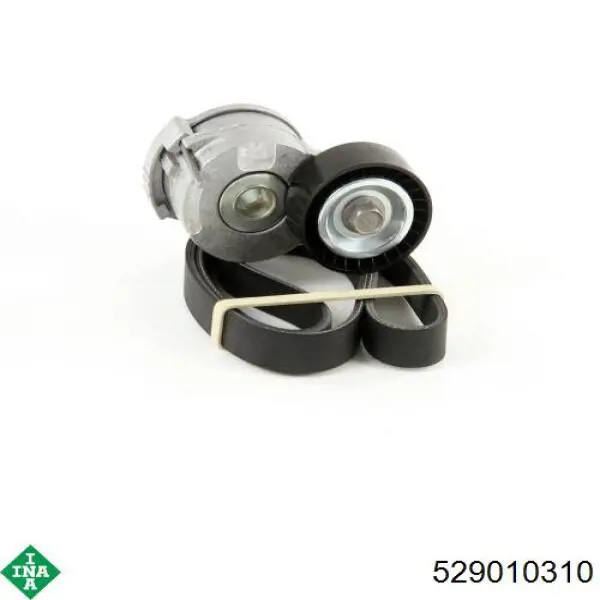 Compre 529010310 INA Correia dos conjuntos de transmissão, kit