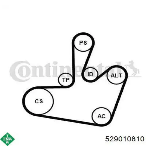 Compre 529010810 INA Correia dos conjuntos de transmissão, kit