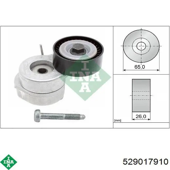 Compre 529017910 INA Correia dos conjuntos de transmissão, kit