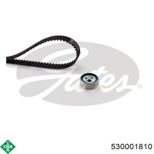 Compre 530001810 INA Correia do mecanismo de distribuição de gás, kit