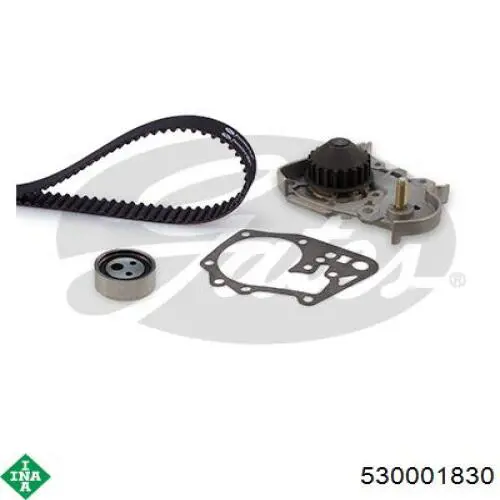 Compre 530001830 INA Correia do mecanismo de distribuição de gás, kit