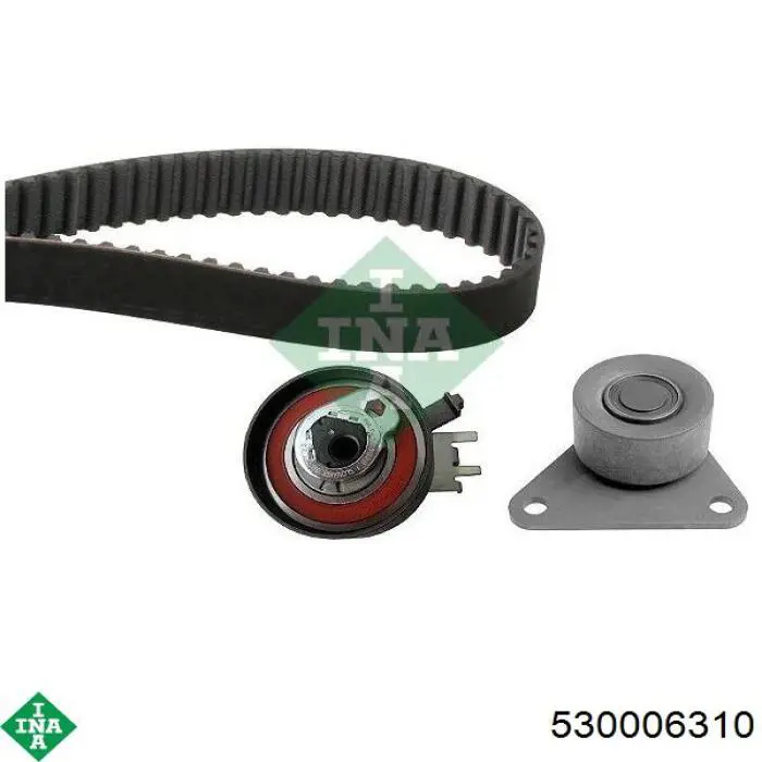 Compre 530006310 INA Correia do mecanismo de distribuição de gás, kit