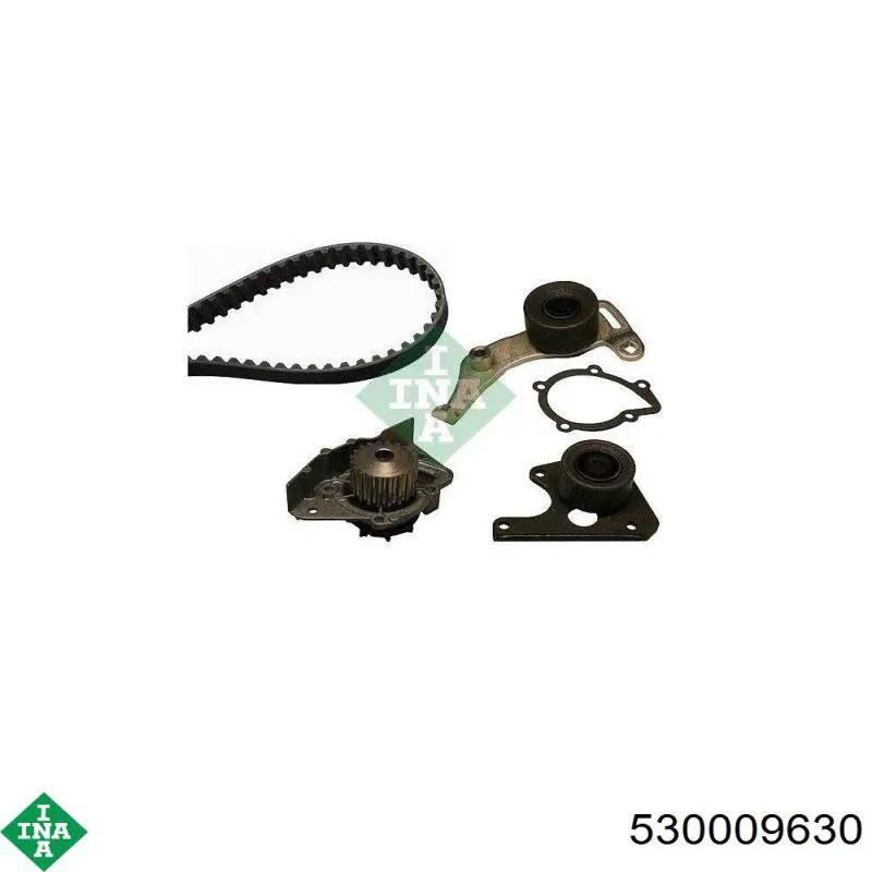 Compre 530009630 INA Correia do mecanismo de distribuição de gás, kit