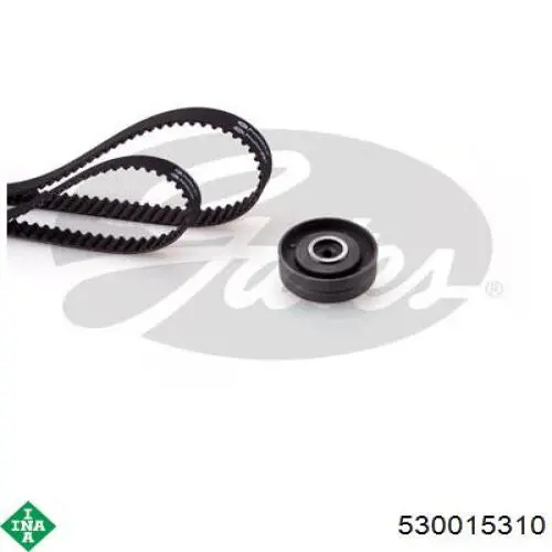 Compre 530015310 INA Correia do mecanismo de distribuição de gás, kit