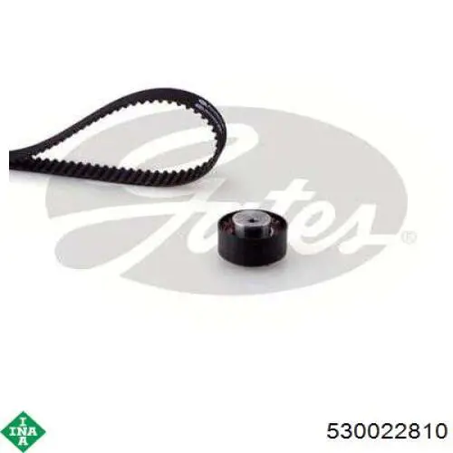 Compre 530022810 INA Correia do mecanismo de distribuição de gás, kit