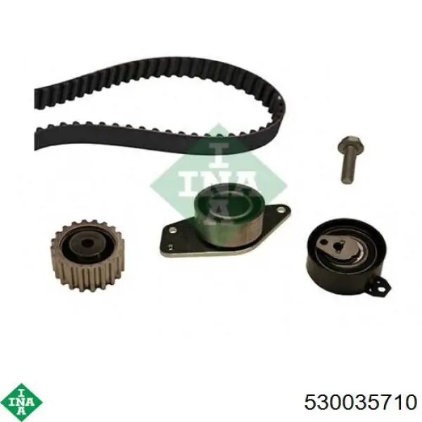 Compre 530035710 INA Correia do mecanismo de distribuição de gás, kit