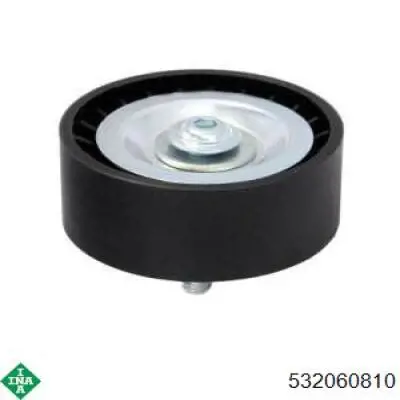 Compre 532060810 INA Rolo parasita da correia de transmissão