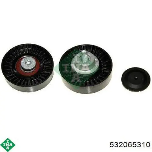 Compre 532065310 INA Rolo parasita da correia de transmissão