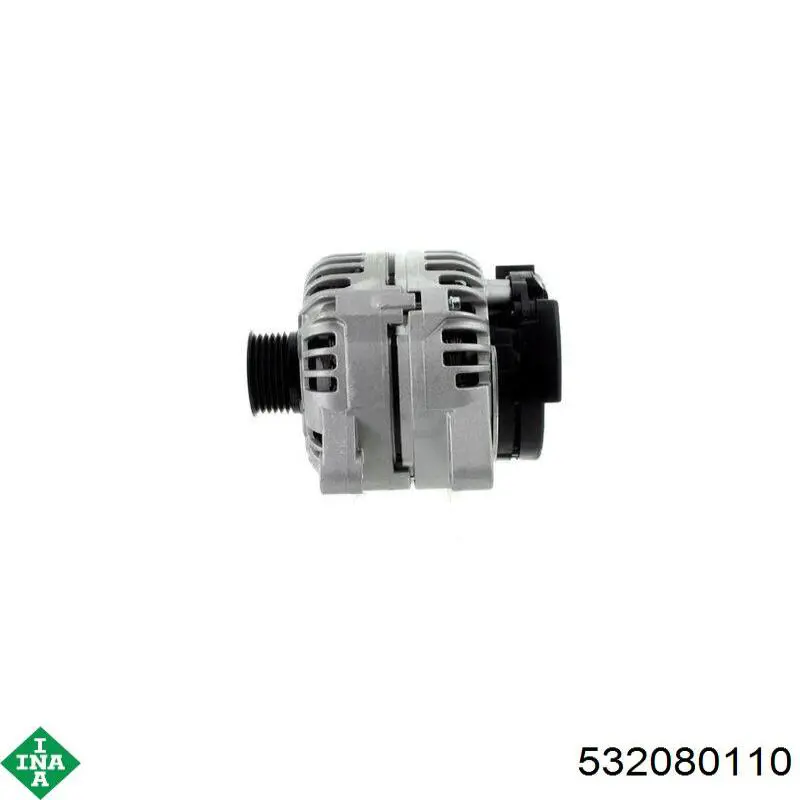 Compre 532080110 INA Rolo parasita da correia de transmissão