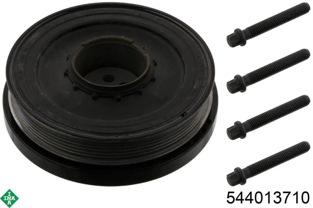544013710 INA Polia de cambota