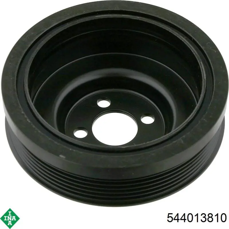 544013810 INA Polia de cambota