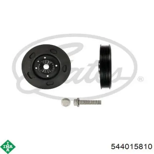 544015810 INA Polia de cambota
