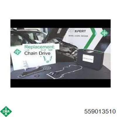 Cadeia do mecanismo de distribuição de gás, kit INA 559013510 preço, a partir de 96,82 USD