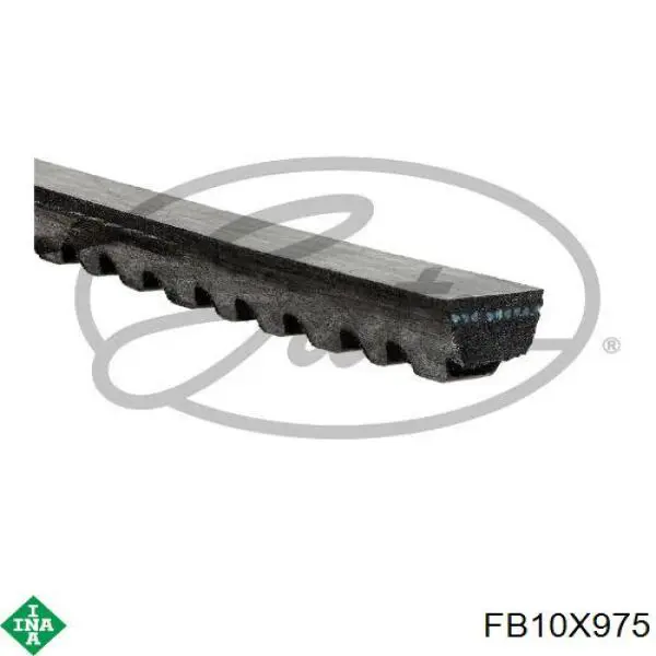 Correia dos conjuntos de transmissão INA FB10X975 preço, a partir de 10,70 USD