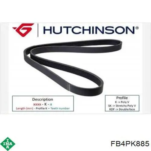 Compre FB4PK885 INA Correia dos conjuntos de transmissão