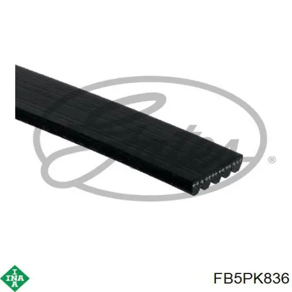 Compre FB5PK836 INA Correia dos conjuntos de transmissão