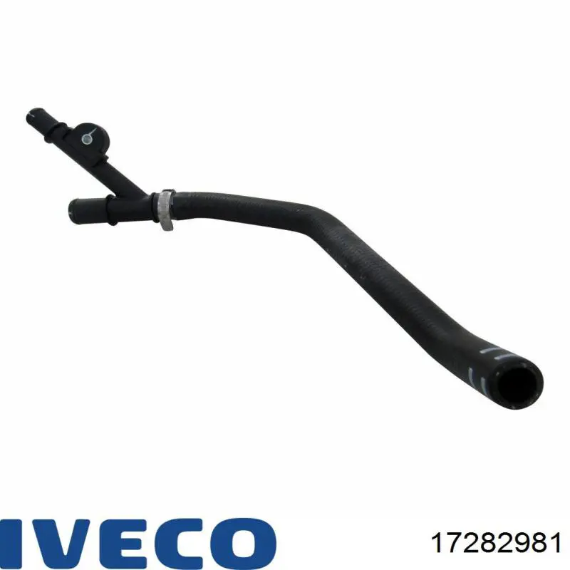 17282981 Iveco 