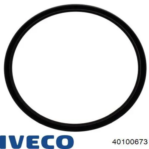 Bucim de cubo traseiro 40100673 Iveco
