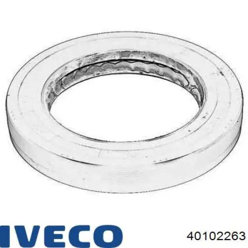 Compre 40102263 Iveco Bucim da haste de redutor do eixo traseiro