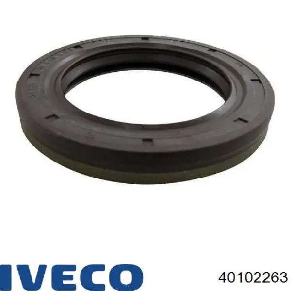 Bucim da haste de redutor do eixo traseiro 40102263 Iveco
