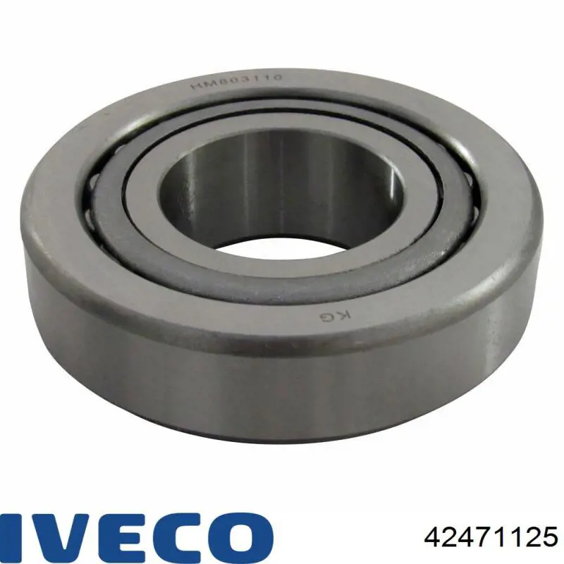 Compre 42471125 Iveco Rolamento interno da haste do eixo traseiro